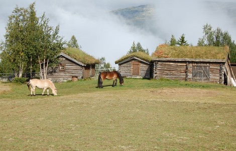 Hester på fjellet, Øien Øvre