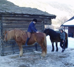 Hester og ryttere